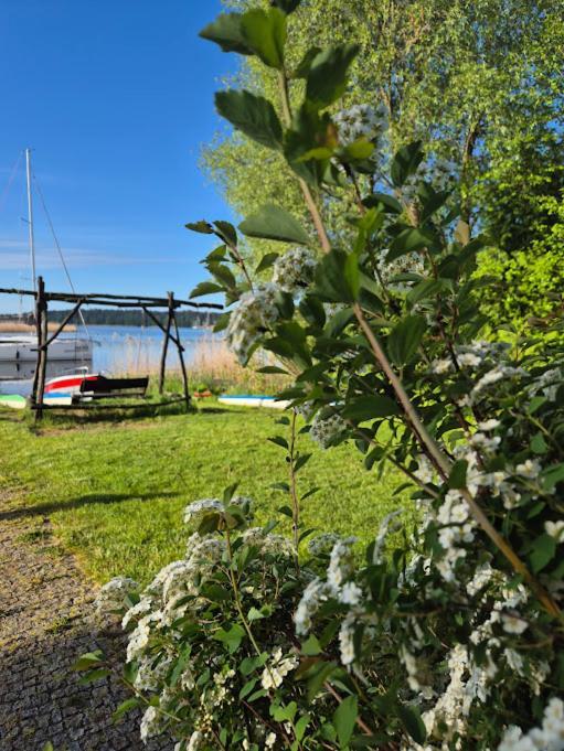 Pensjonat Rybaczowka - Noclegi, Restauracja, Port Богачево Екстериор снимка