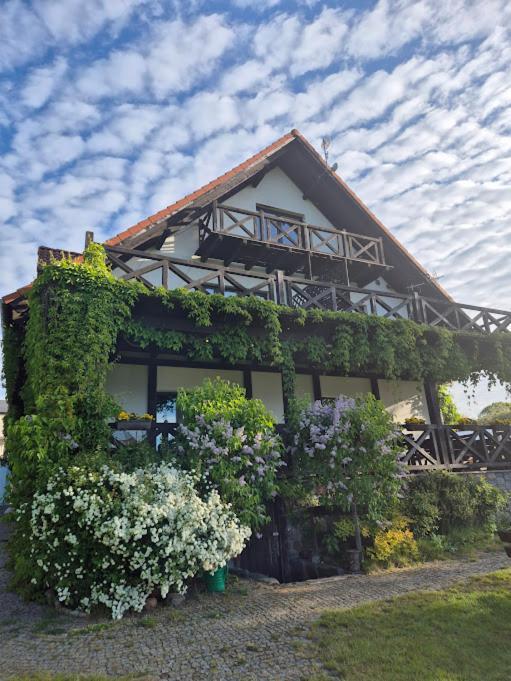 Pensjonat Rybaczowka - Noclegi, Restauracja, Port Богачево Екстериор снимка